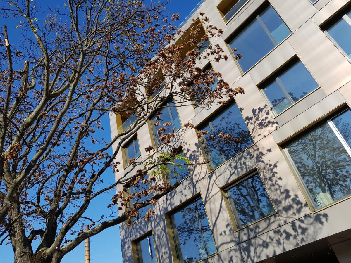 Msapartamenty Centrum 3 *